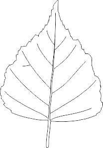 Liść brzozy szablon